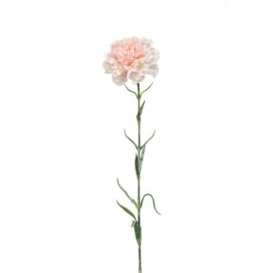 Neilikka 67cm persikka