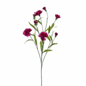 Neilikka 70cm purple