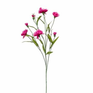 Neilikka 70cm tumma pinkki
