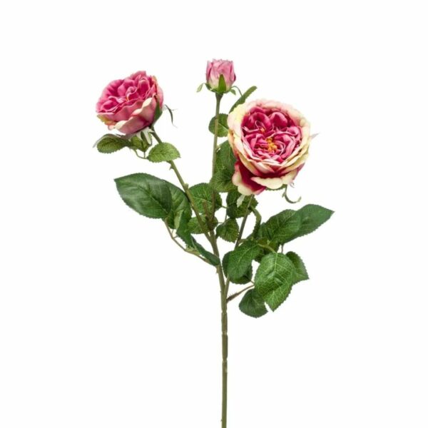 Ruusu-oksa 58 cm pinkki/purppura