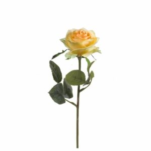 Ruusu 'Simone' 45cm keltainen