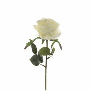 Ruusu 'Simone' 45cm valkoinen