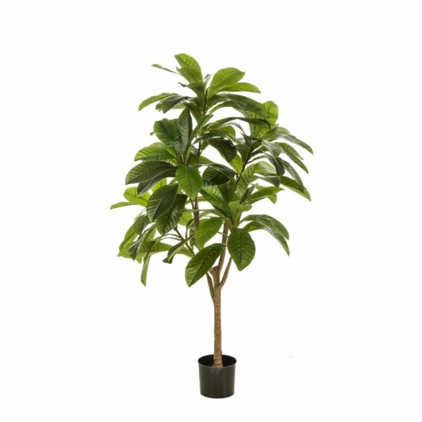 Temppelipuu 145cm