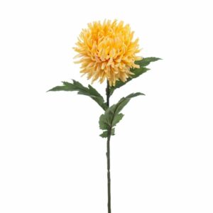 Krysanteemi-oksa 57cm keltainen