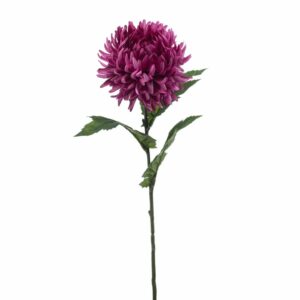 Krysanteemi-oksa 57cm purppura