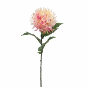 Krysanteemi-oksa 57cm vaalea pinkki