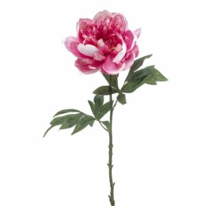 Pioni-oksa 55cm pinkki