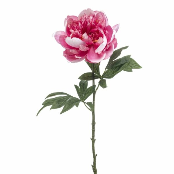 Pioni-oksa 55cm pinkki