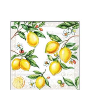 Kahviliina 'Citrus'