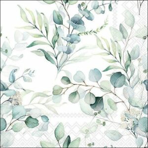 Lounasliina Eucalyptus all over