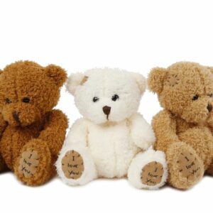 Nalle'Take Me Home'  18cm