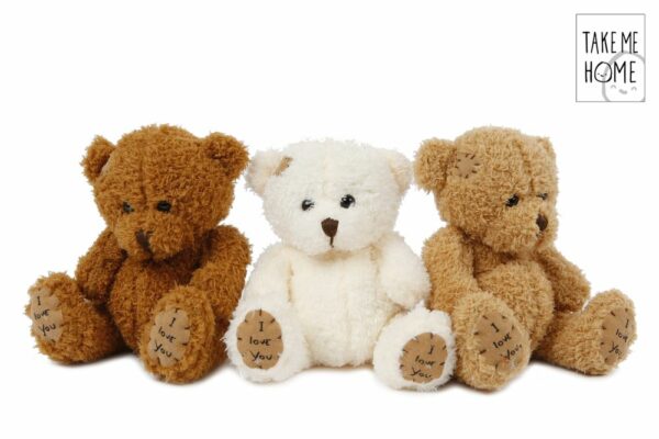Nalle'Take Me Home'  18cm