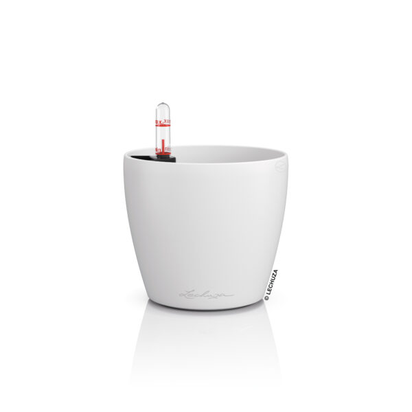 Classico Color 12 valkoinen All-In-One Set