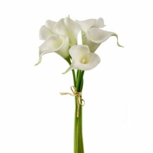 Calla-kimppu 6-kukkaa 35cm valkoinen