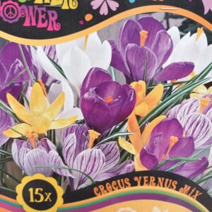 Flower Power Crocus Vernus Mix 15 kpl