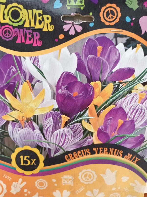 Flower Power Crocus Vernus Mix 15 kpl