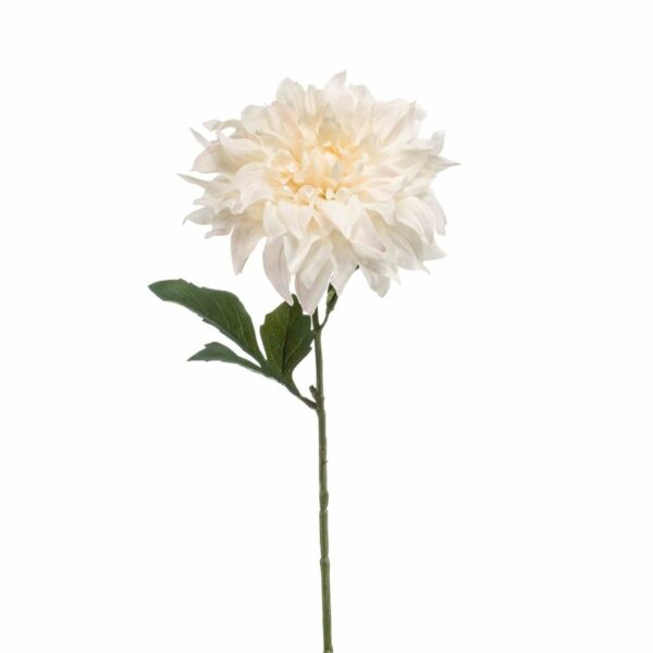 Dahlia-oksa kerma/pinkki 60cm