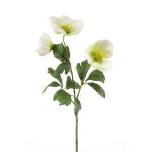 Jouluruusu-oksa 44cm valkoinen