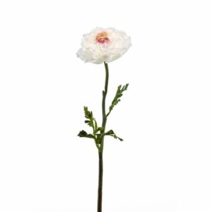 Leinikki-oksa 50cm kerma/pinkki
