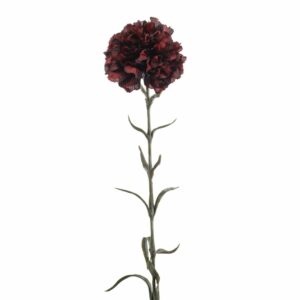 Neilikka 67cm, punainen/musta