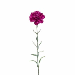 Neilikka 67cm purppura
