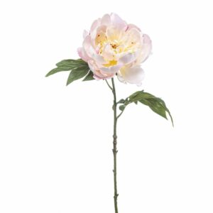Pioni-oksa 55cm vaalea pinkki