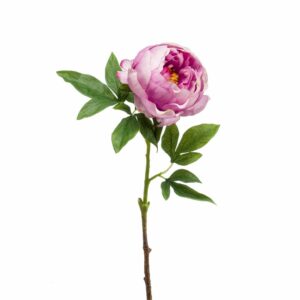 Pioni-oksa 63cm vaalea lila