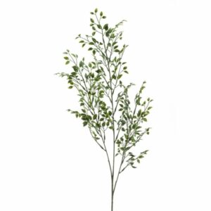 Puksipuu-oksa 3-haarainen 75cm