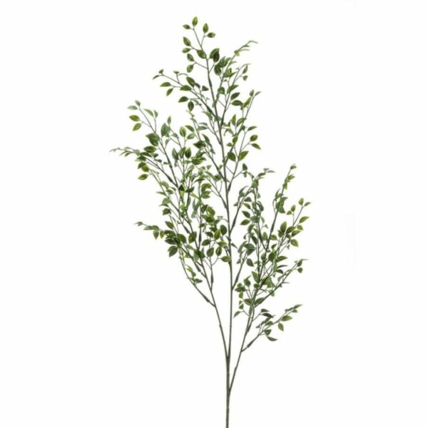 Puksipuu-oksa 3-haarainen 75cm
