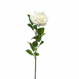 Ruusu 'Marleen' 63 cm kerma