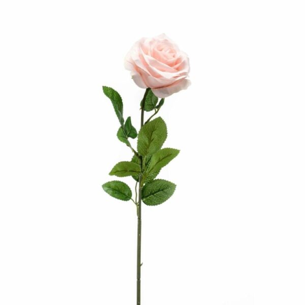 Ruusu 'Marleen' 63 cm persikka