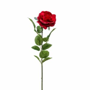 Ruusu 'Marleen' 63 cm punainen