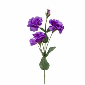 Eustoma 68cm purppura