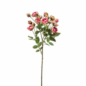 Tertturuusu-oksa 57cm pinkki/vihreä