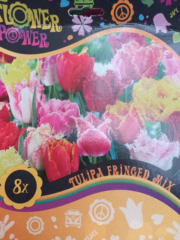 Flower Power Fringed Mix 8 kpl