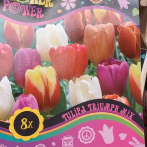 Flower Power Triumph Mix 8 kpl