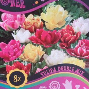 Flower Power Tulipa Double Mix 8 kpl