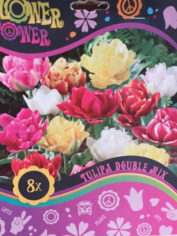 Flower Power Tulipa Double Mix 8 kpl