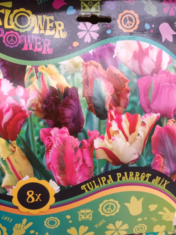 Flower Power Tulipa Parrot Mix 8 kpl