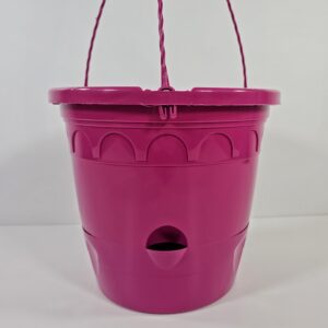 Ondine amppeli, fuchsia
