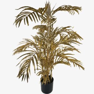 Areca-palmu kulta 105cm