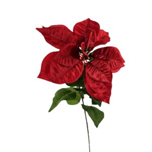 Joulutähti-oksa 65cm punainen