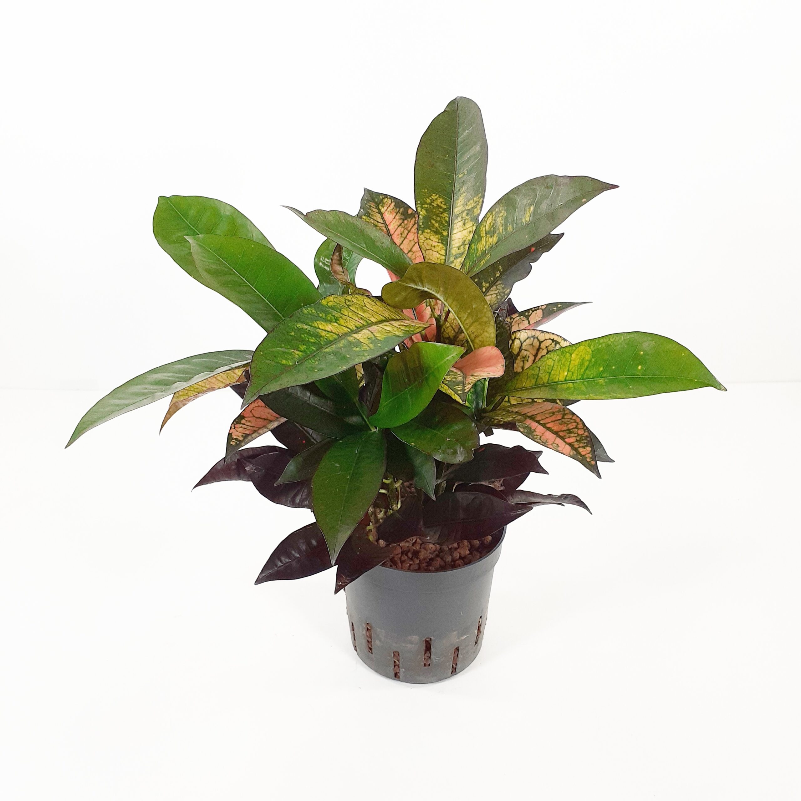 Ihmepensas p13 HYDRO