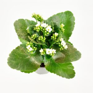 Tulilatva hileellä p10,5