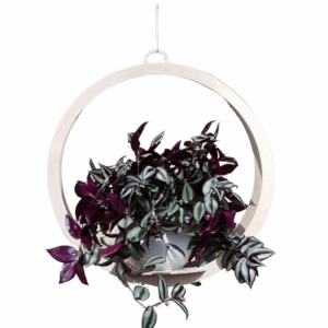 Taika Amppeli 49cm vaalea