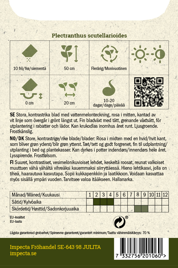 Värinokkonen 'Premium Sun Watermelon'