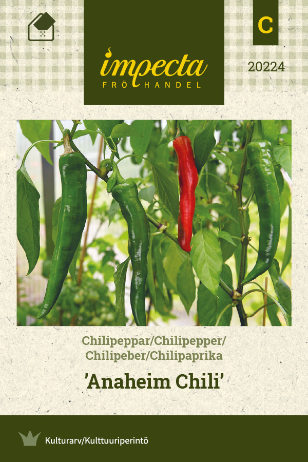 Chilipaprika 'Anaheim'