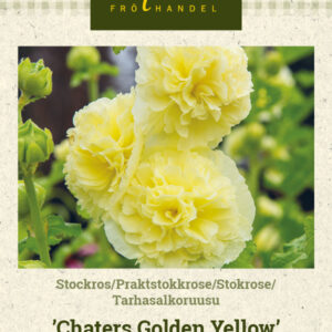 Tarhasalkoruusu 'Chater's Golden Yellow'