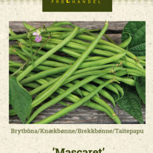 Taitepapu 'Mascaret'