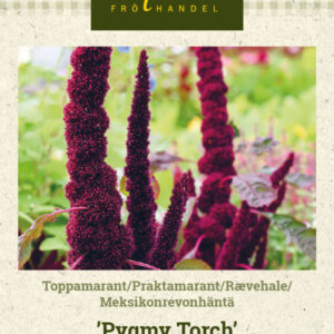 Meksikonrevonhäntä 'Pygmy Torch'